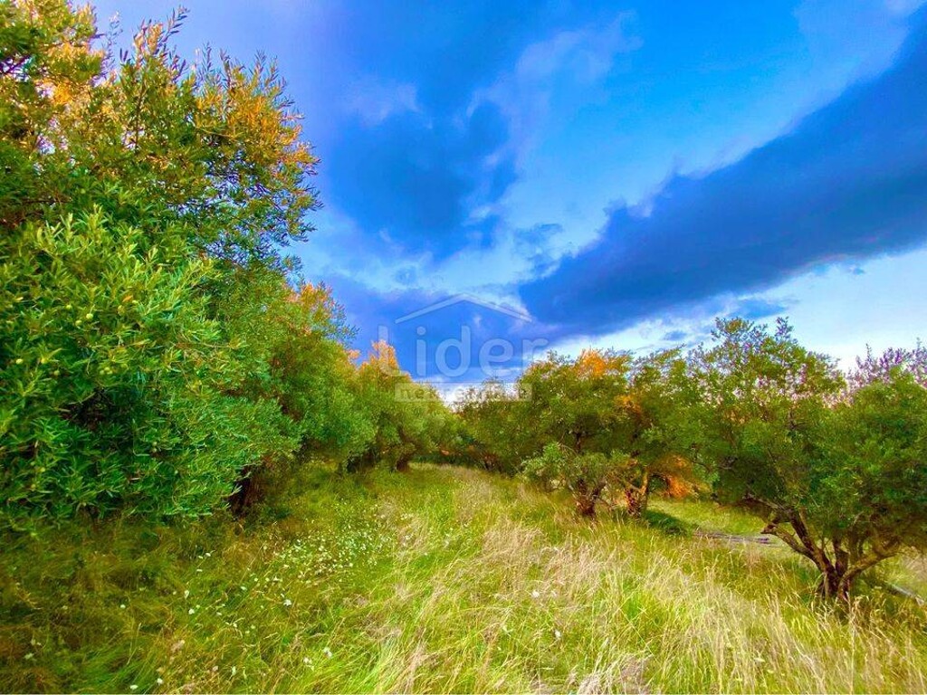 Image 5738979 - 2