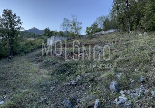 Thumbnail 5740032 - 4