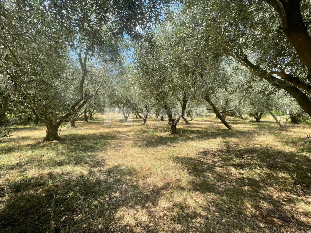 Image 5745005 - 15