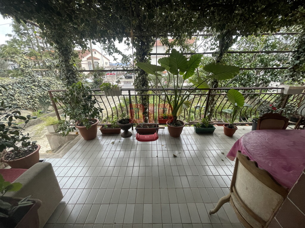 Image 5745635 - 1