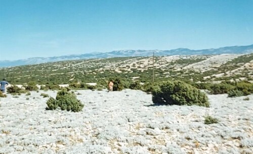 Zemljište: Otok Pag, Kolan, idealno za kamp prikolicu, 433 m2