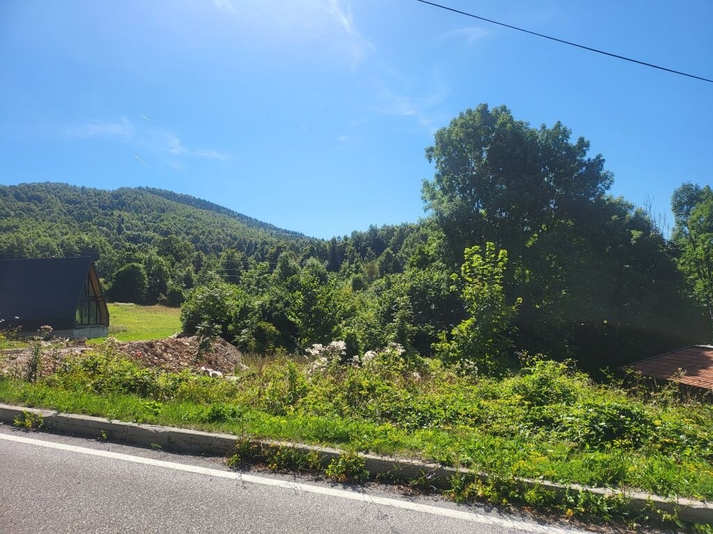 Image 5747588 - 1