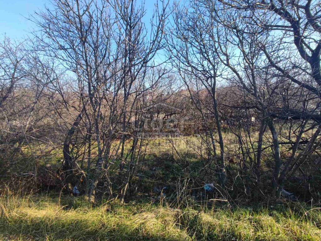 Image 5749740 - 1