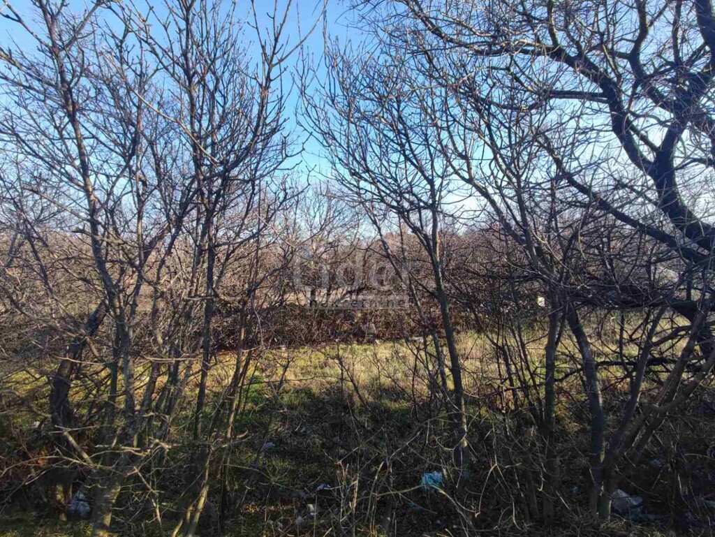 Image 5749740 - 3
