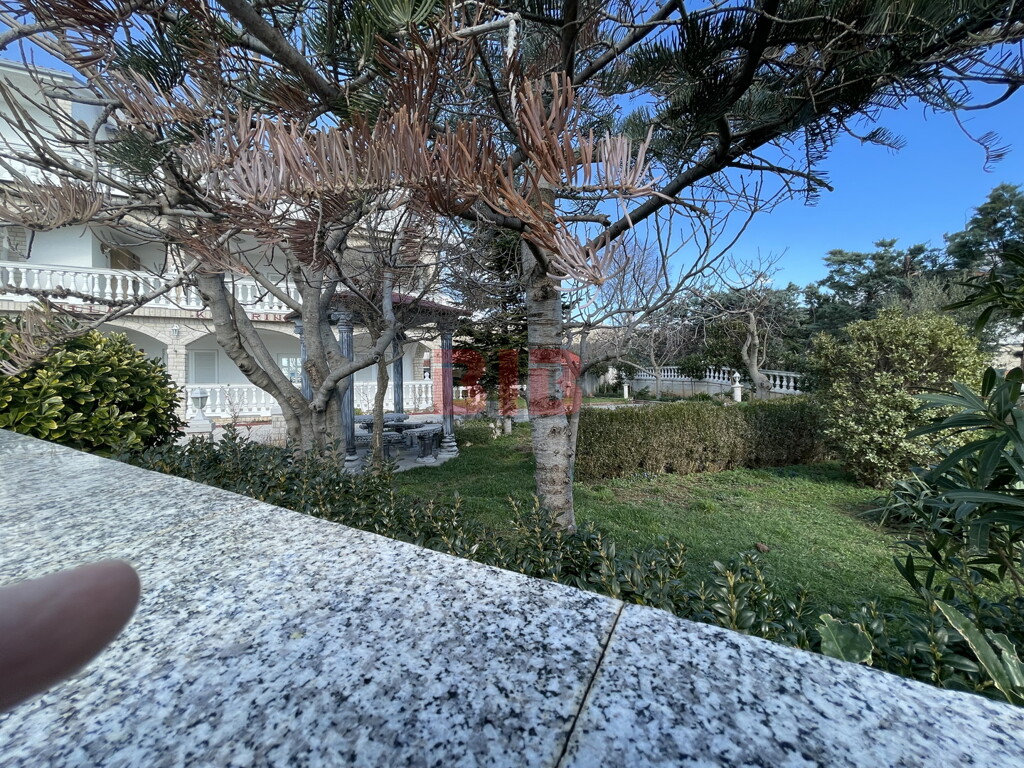 Image 5749765 - 26