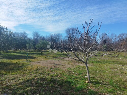 Thumbnail 5752163 - 3