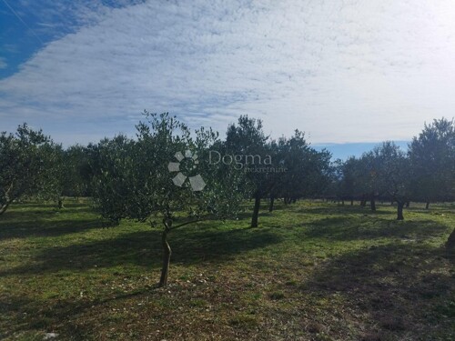 Thumbnail 5752163 - 2