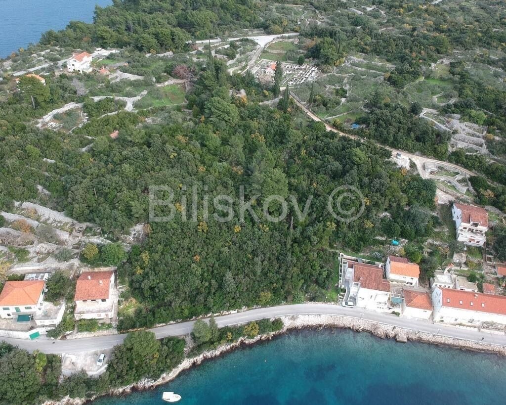 Image 5757650 - 1