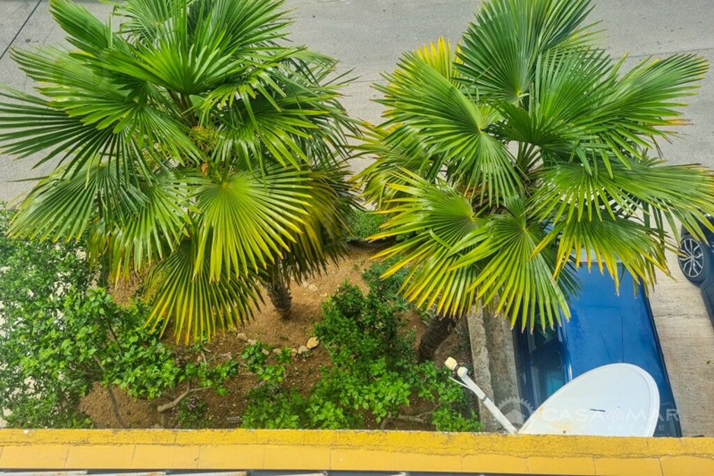Image 5760085 - 2