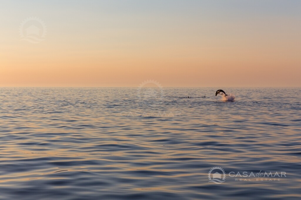 Image 5760162 - 23