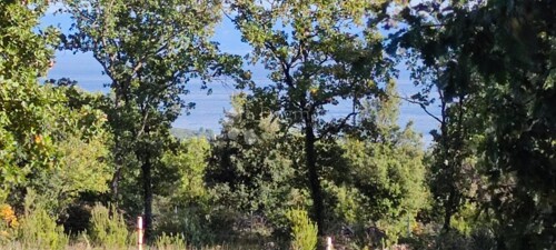 Thumbnail 5761090 - 3