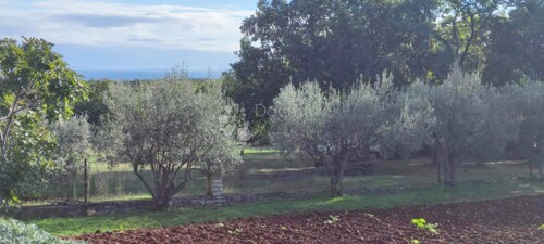 Thumbnail 5761090 - 5