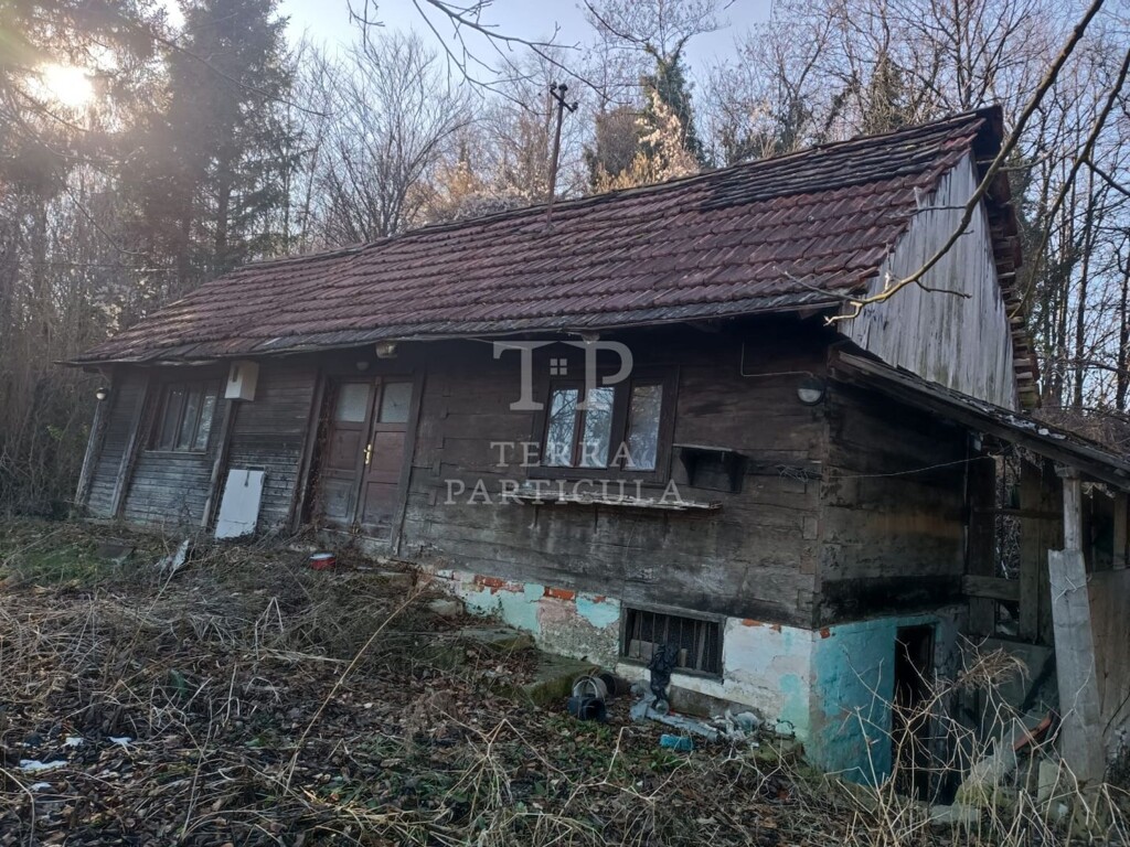 Image 5762286 - 1