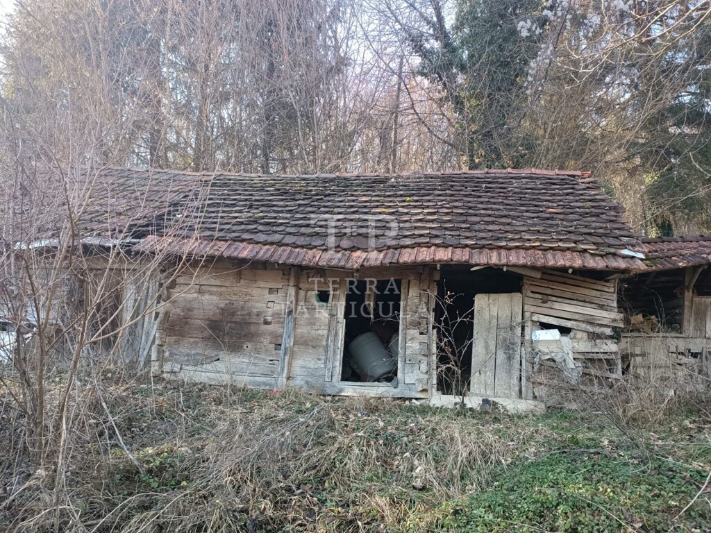 Image 5762286 - 5