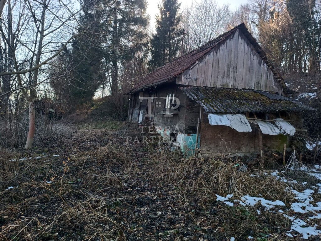 Image 5762286 - 7
