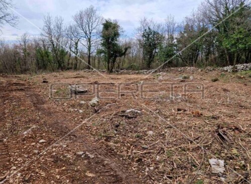 Thumbnail 5764896 - 6