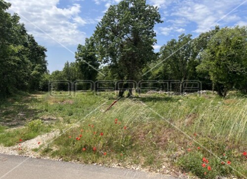 Thumbnail 5764896 - 2