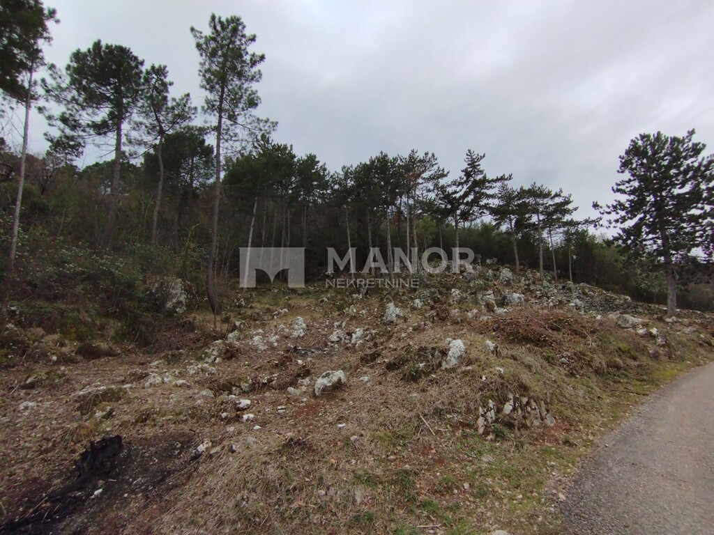 Image 5765189 - 5