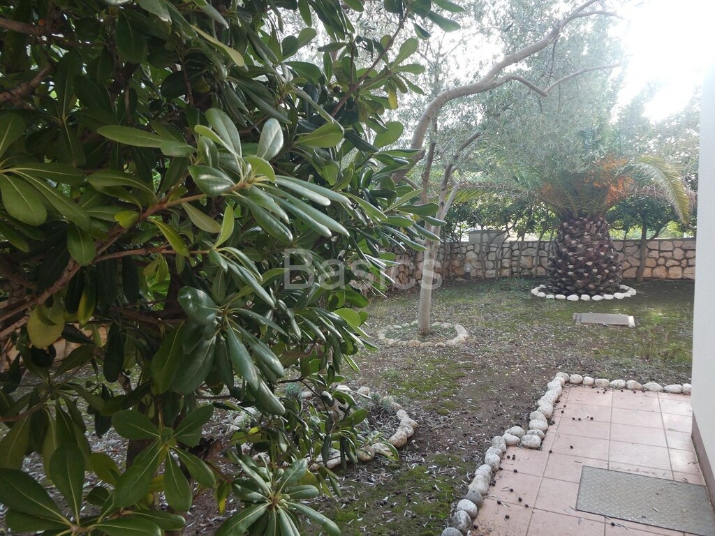 Image 5770734 - 35