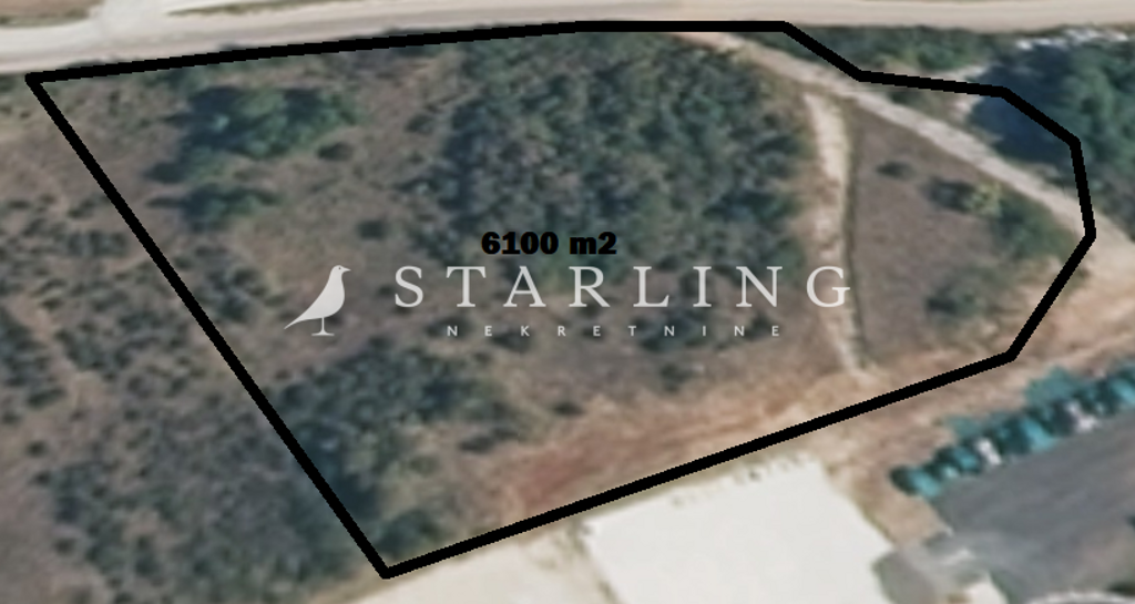Image 5771939 - 1