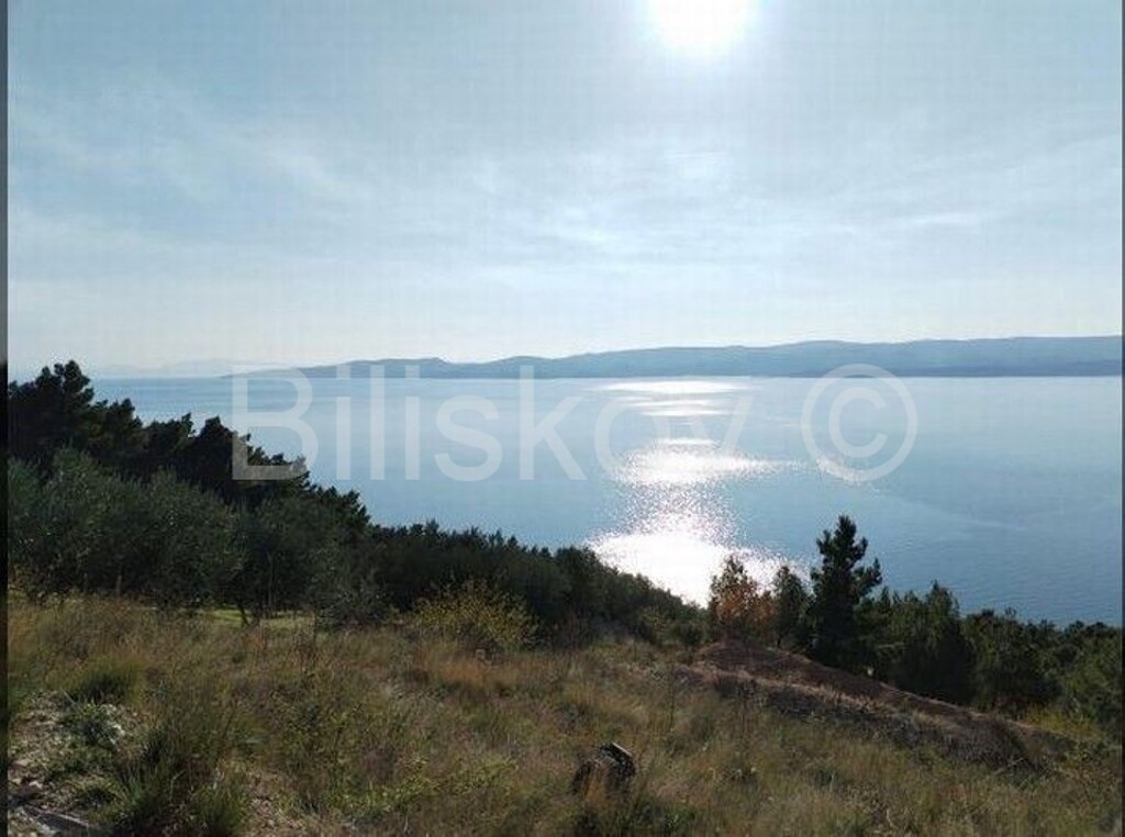 Image 5771981 - 1