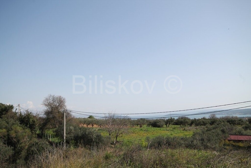 Image 5775414 - 1
