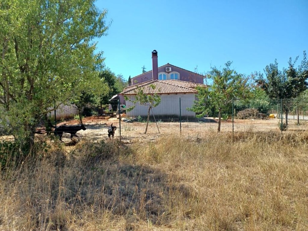 Image 5779912 - 3