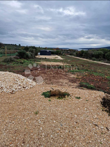 Thumbnail 5785374 - 2