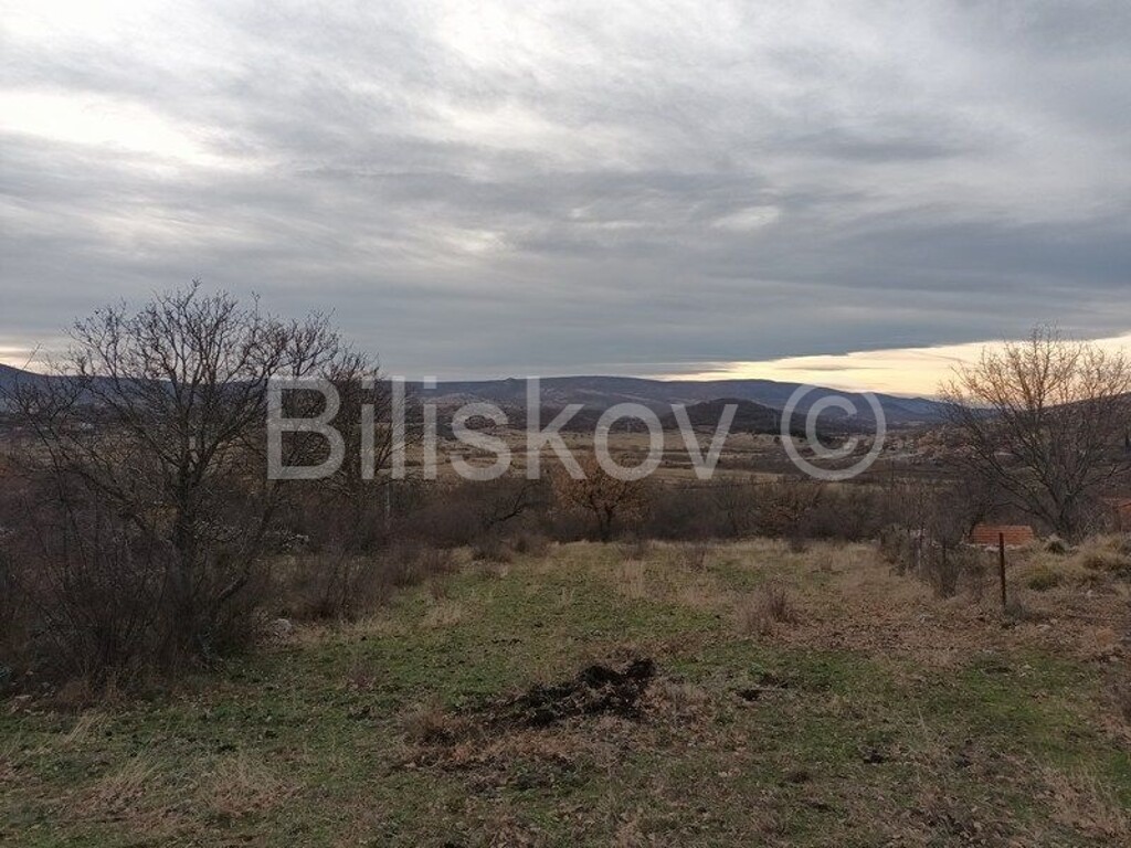 Image 5785457 - 1
