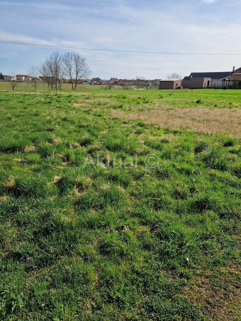 Image 5786717 - 1