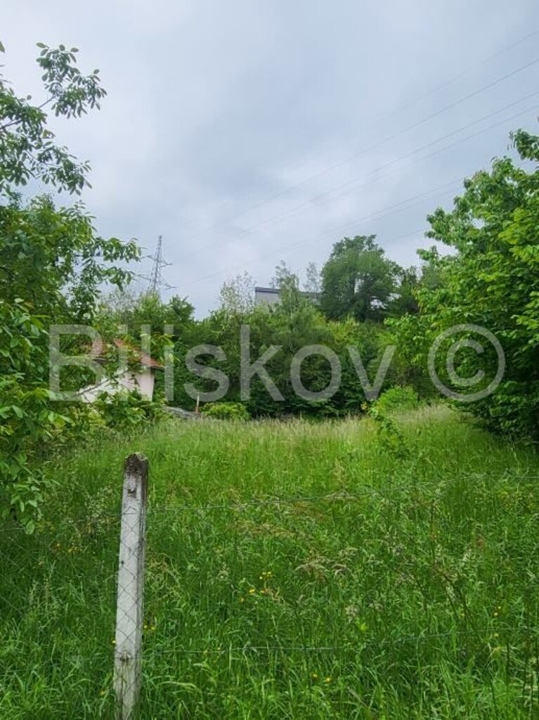 Image 5786726 - 2