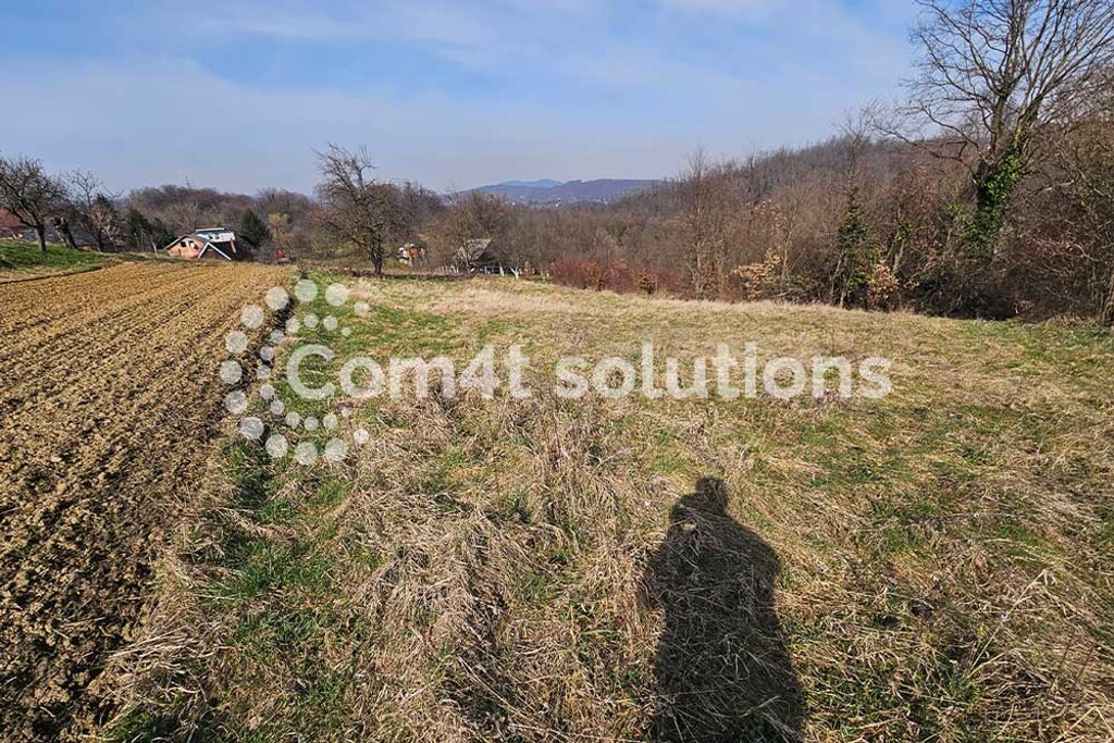 Image 5787405 - 6