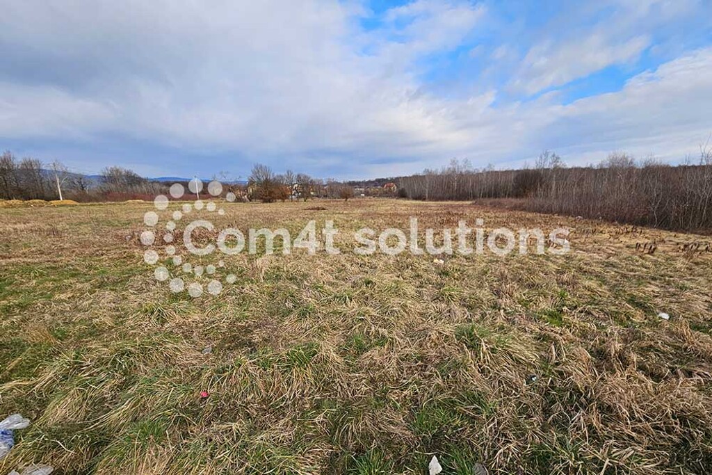 Image 5787467 - 2