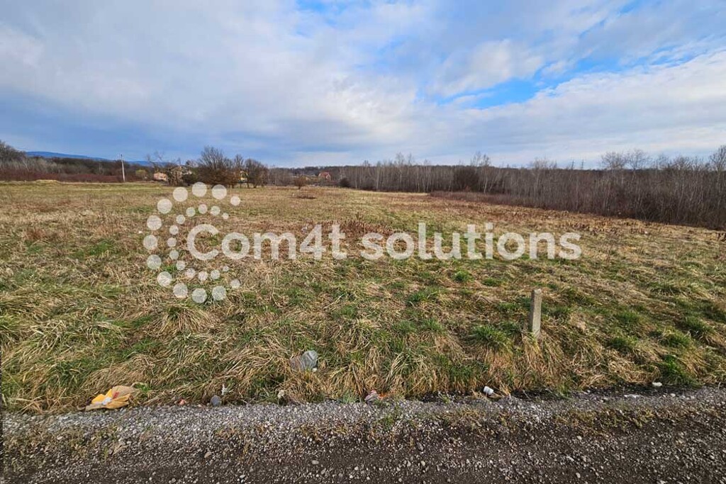 Image 5787467 - 4