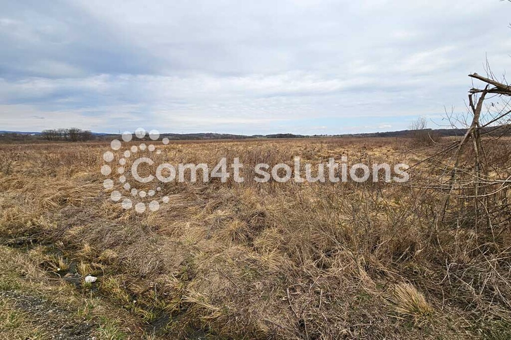 Image 5787480 - 5