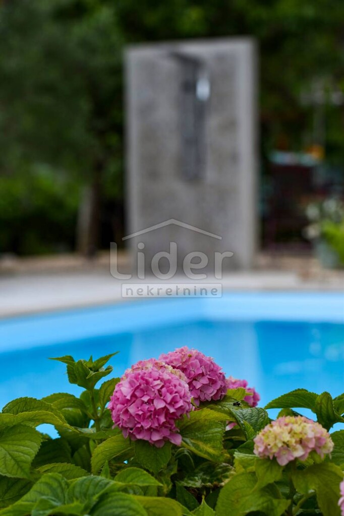Image 5788448 - 11