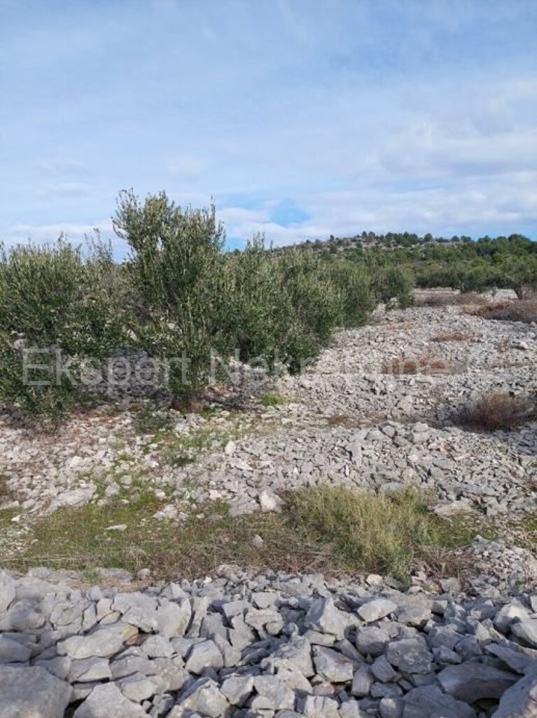 Image 5788867 - 2