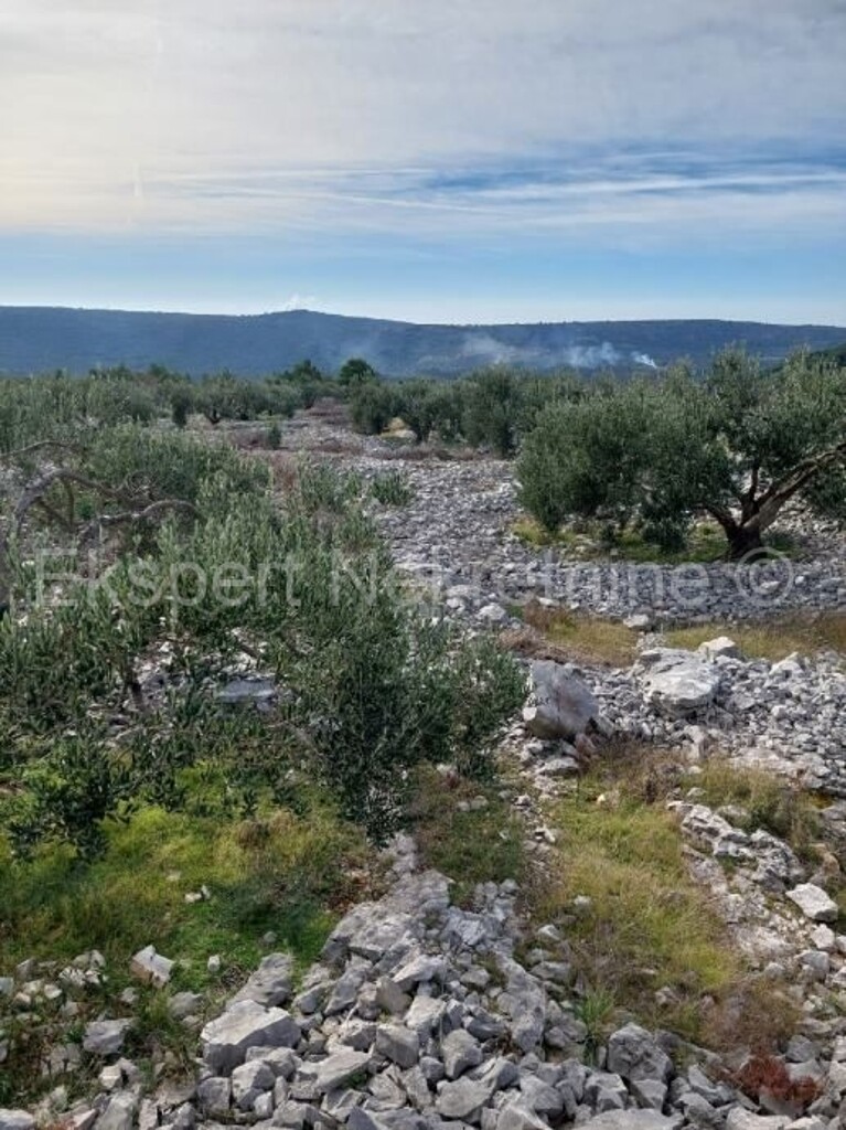 Image 5788867 - 1