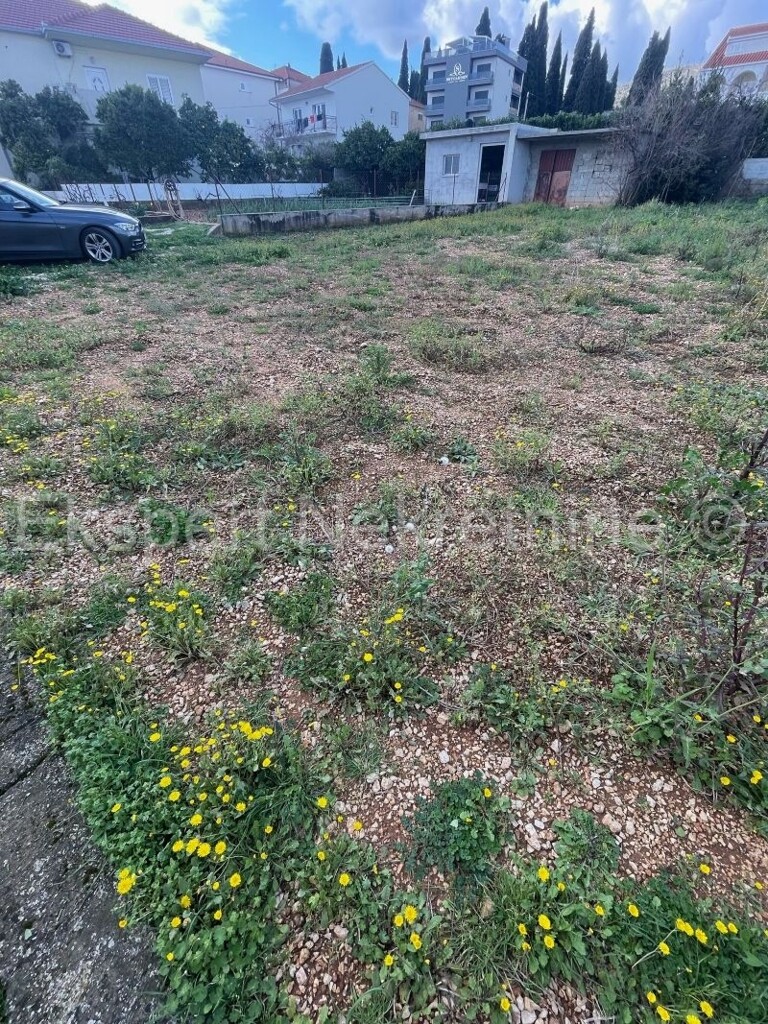 Image 5788868 - 2