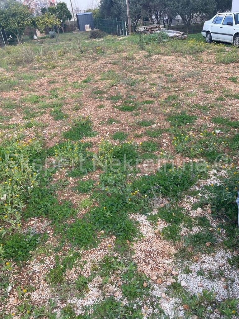 Image 5788868 - 1