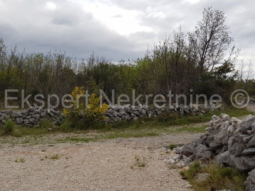Image 5788963 - 4