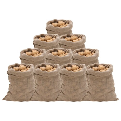 vidaXL Jutene vreće 10 kom 60x105 cm 100 % juta 220 g/m²