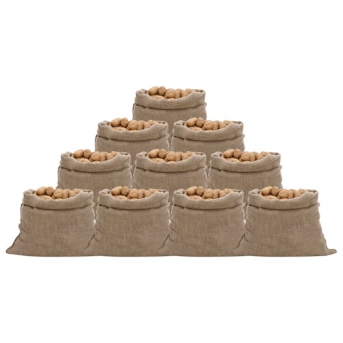 vidaXL Jutene vreće 10 kom 100 x 110 cm 100 % juta 220 g/m²