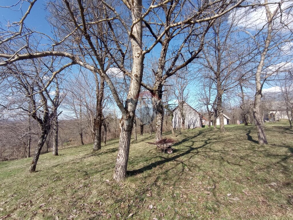 Image 5792071 - 9
