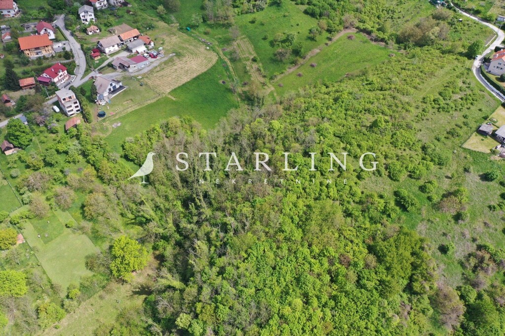 Image 5794850 - 4