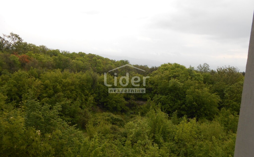 Image 5795986 - 7