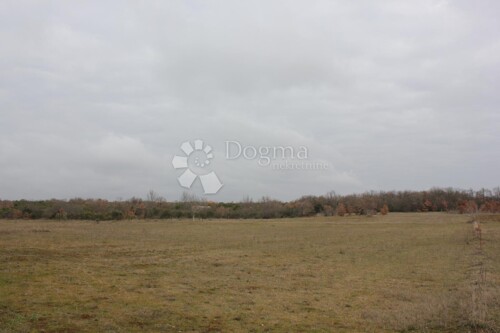 Thumbnail 5800092 - 3