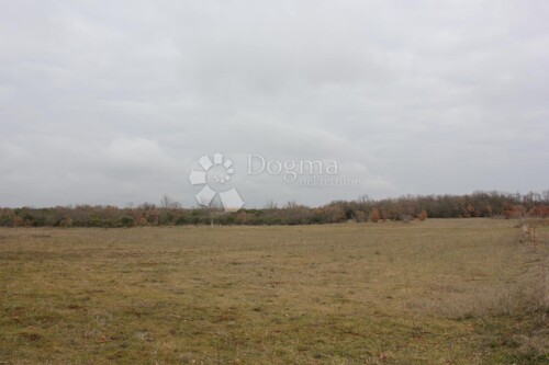 Thumbnail 5800092 - 8