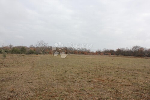 Thumbnail 5800092 - 1