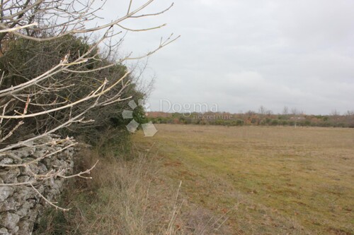 Thumbnail 5800092 - 2